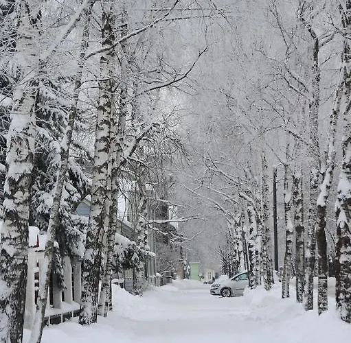 호텔 Wesset 페르누